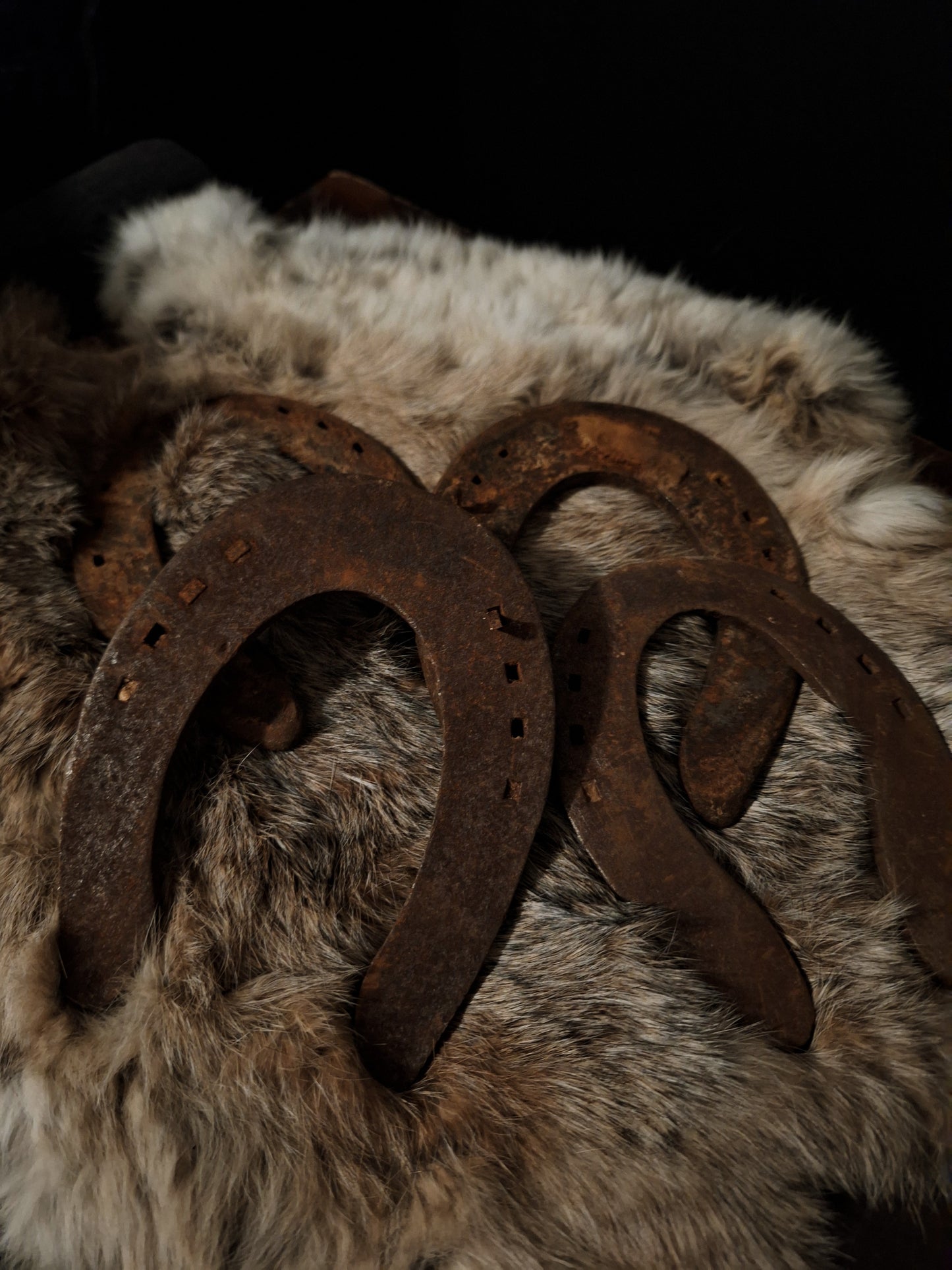 Vintage Rusty Horseshoes