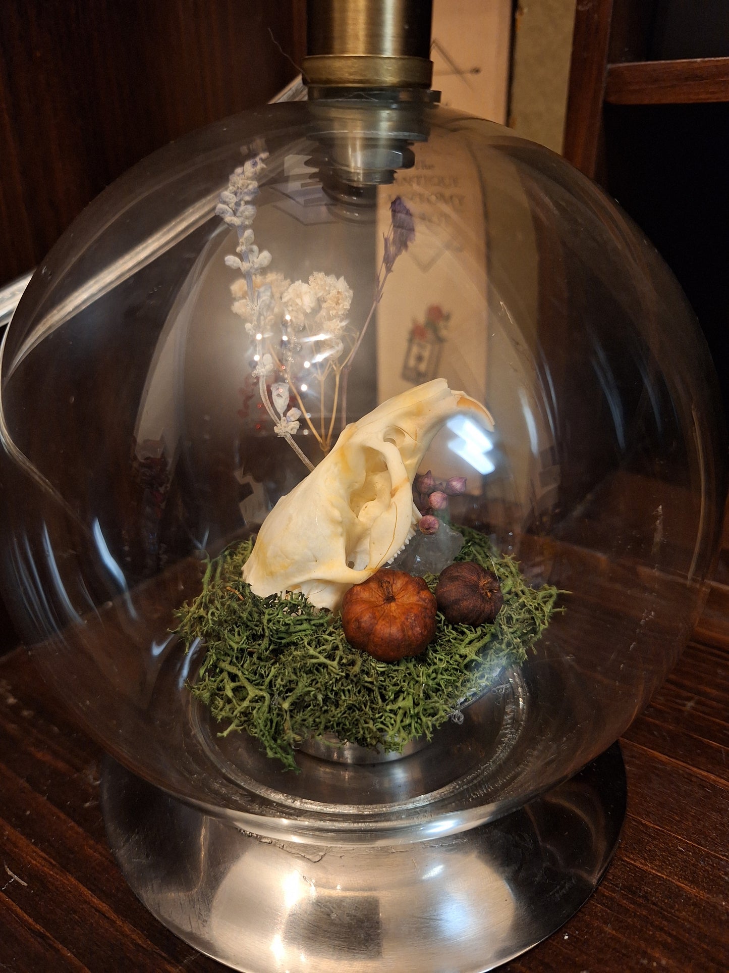 Victor Oddities Lamp