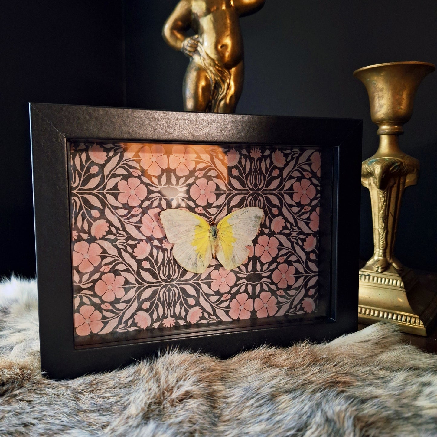 Lemon Emigrant Butterfly Frame