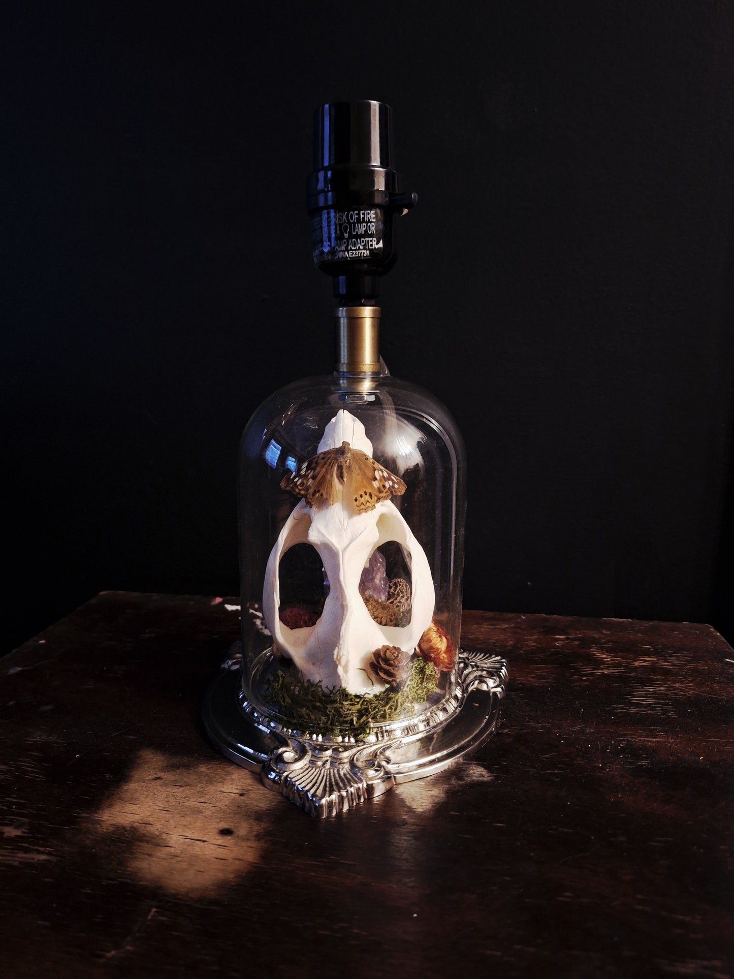 Audrey Oddities Lamp