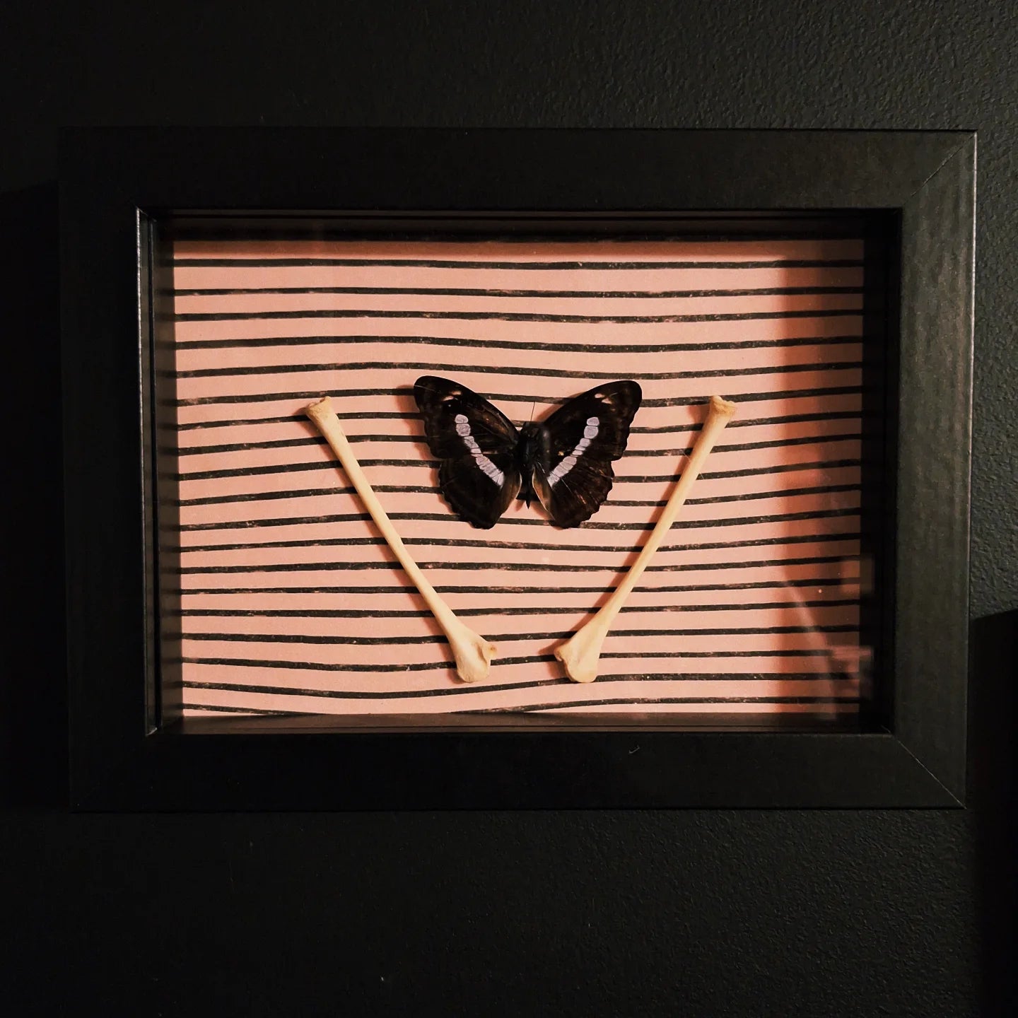 Staff Seargent Butterfly Frame