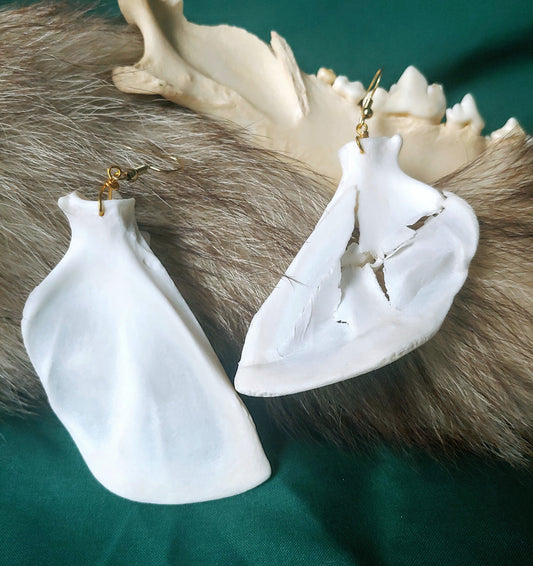 Raccoon Bone Earrings