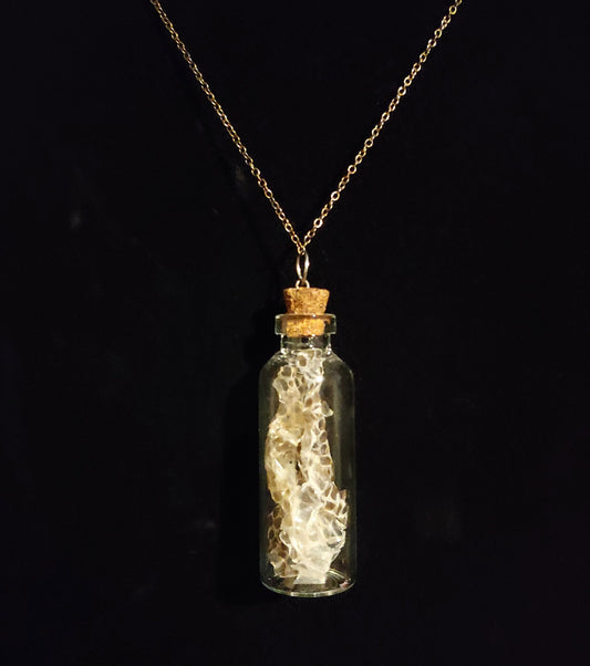 Snakeskin Jar Necklace