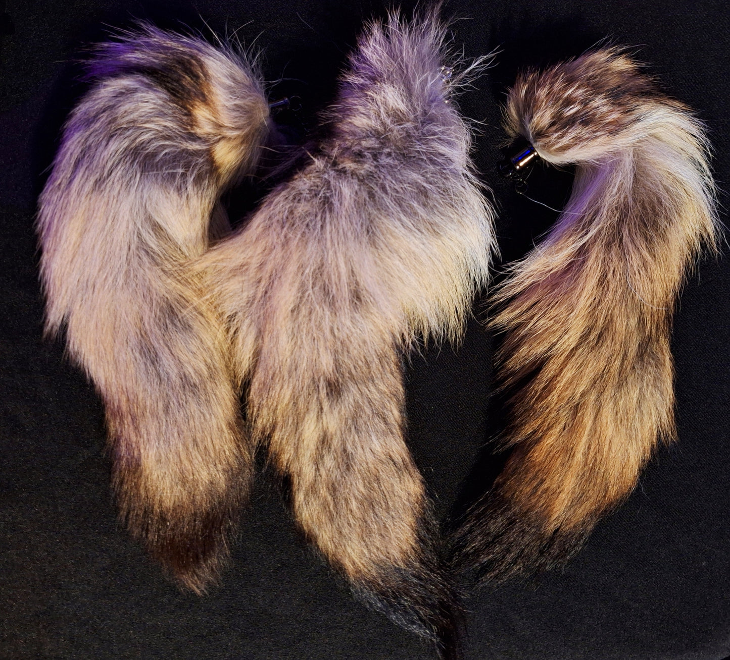 Coyote Tails
