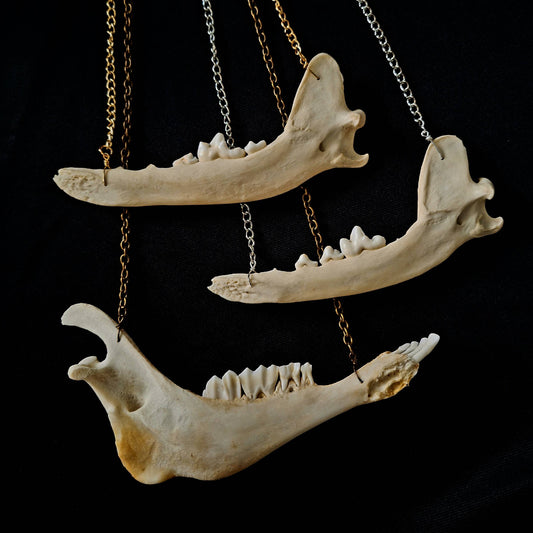 Jawbone Necklaces
