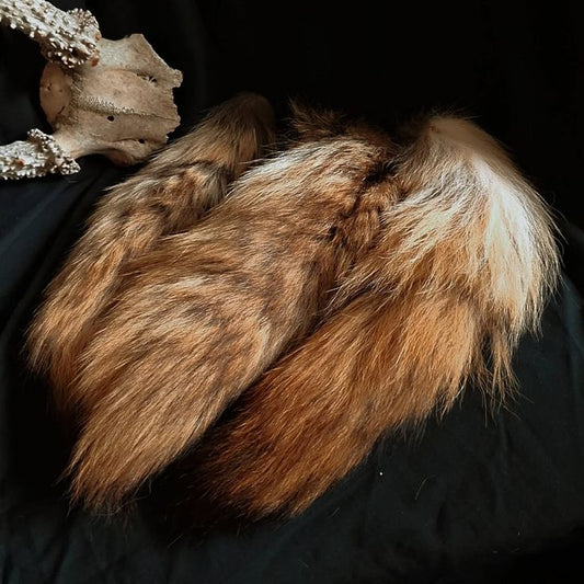 Coyote Tails