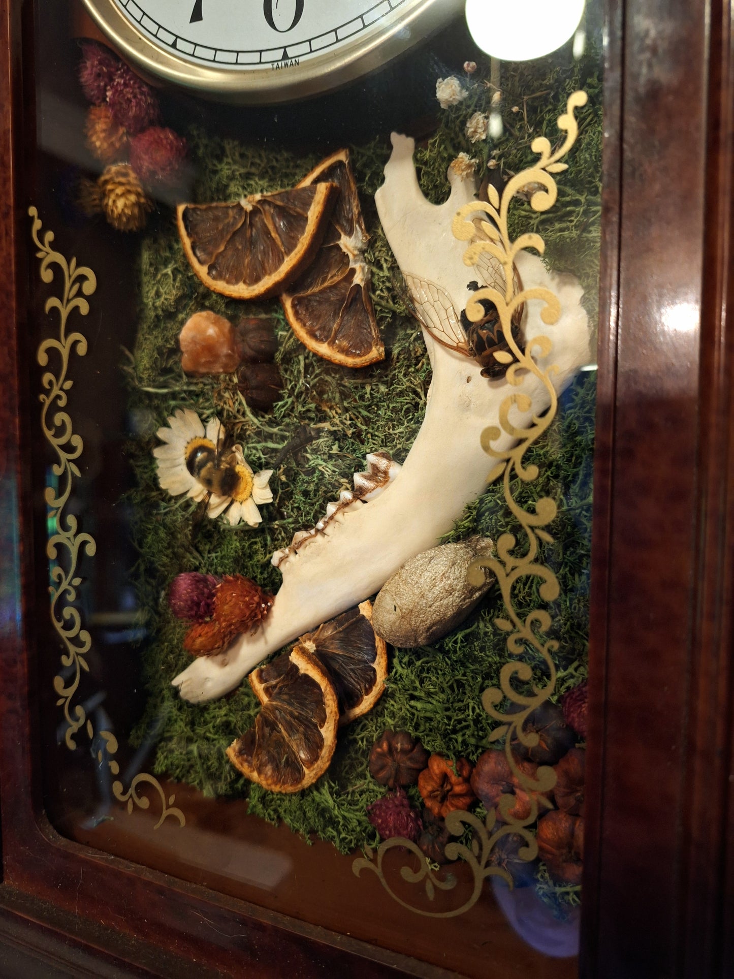 Lucian Oddities Clock