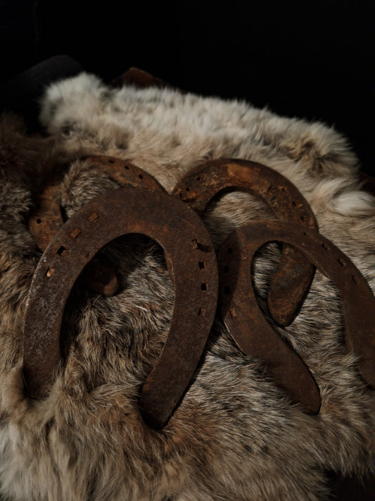 Vintage Rusty Horseshoes