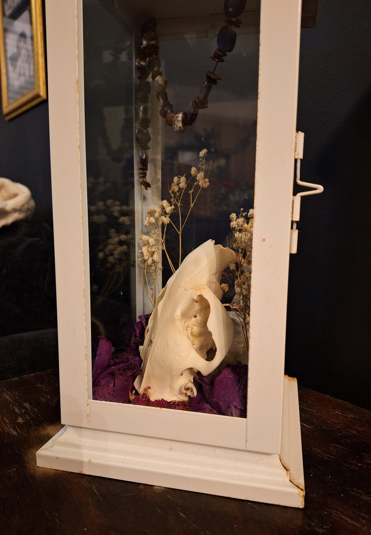 Delia Oddities Lantern