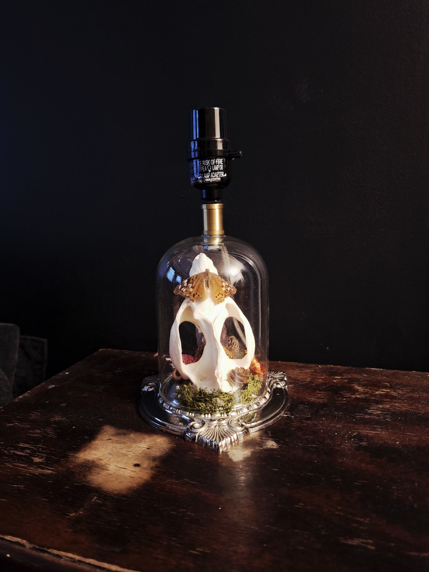 Audrey Oddities Lamp