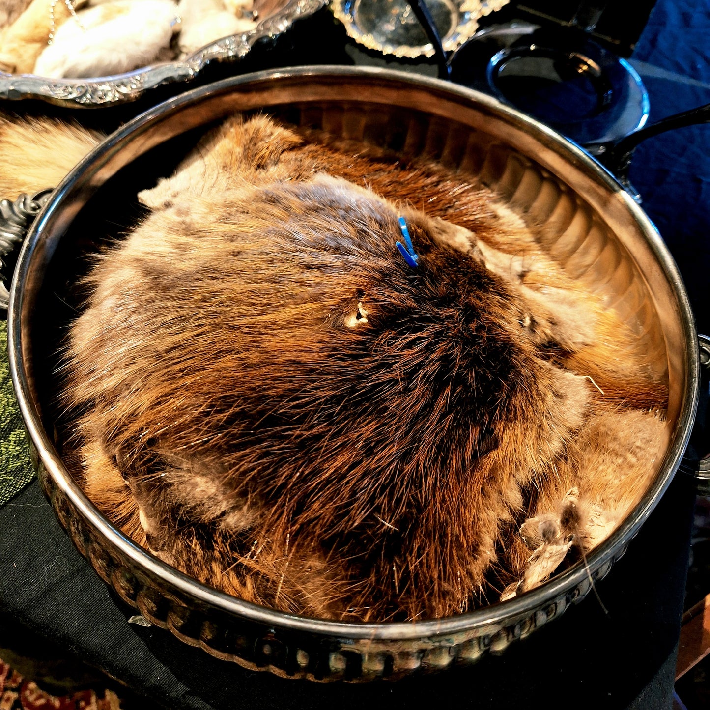 Beaver Face Fur Scrap