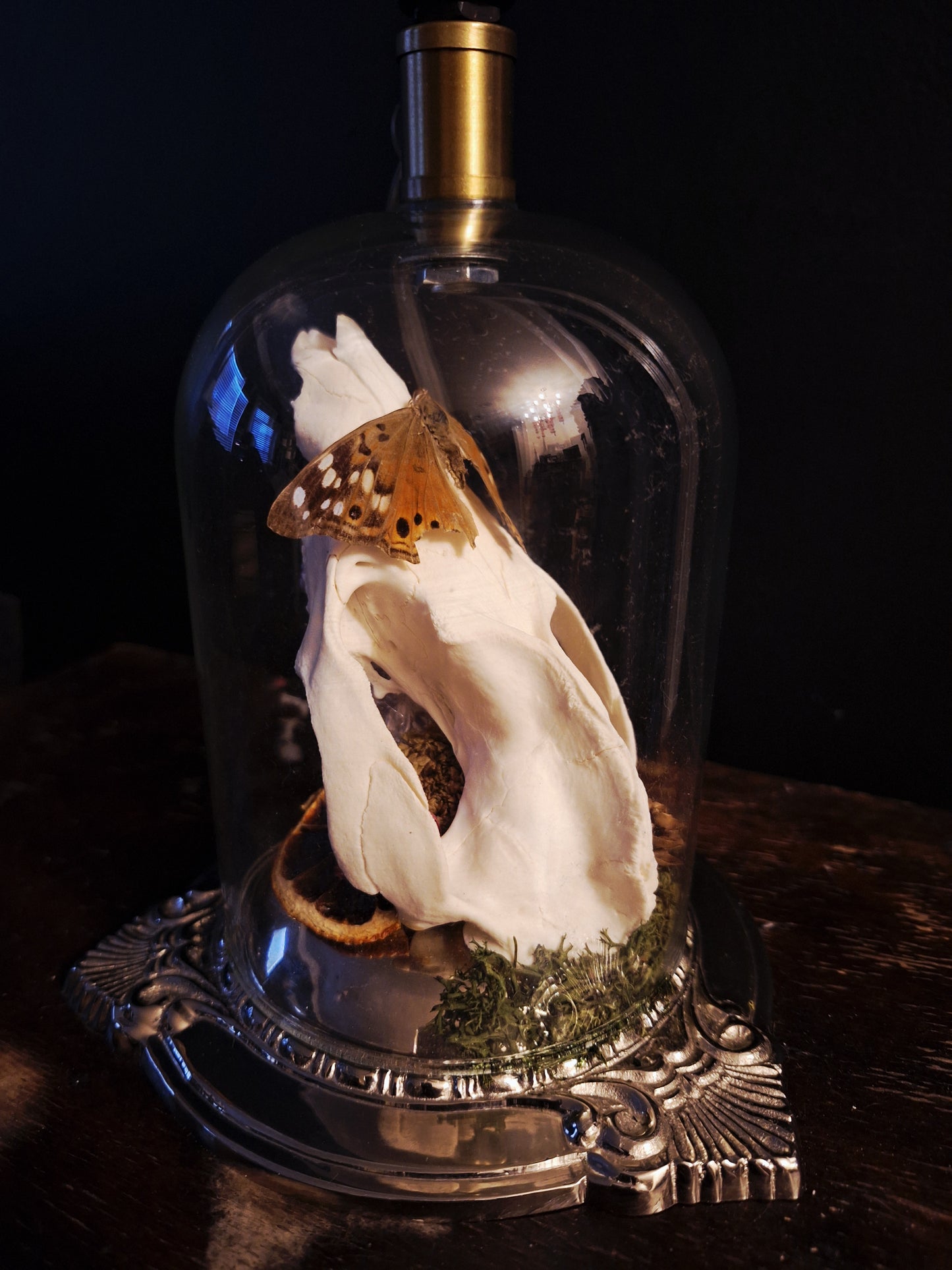 Audrey Oddities Lamp