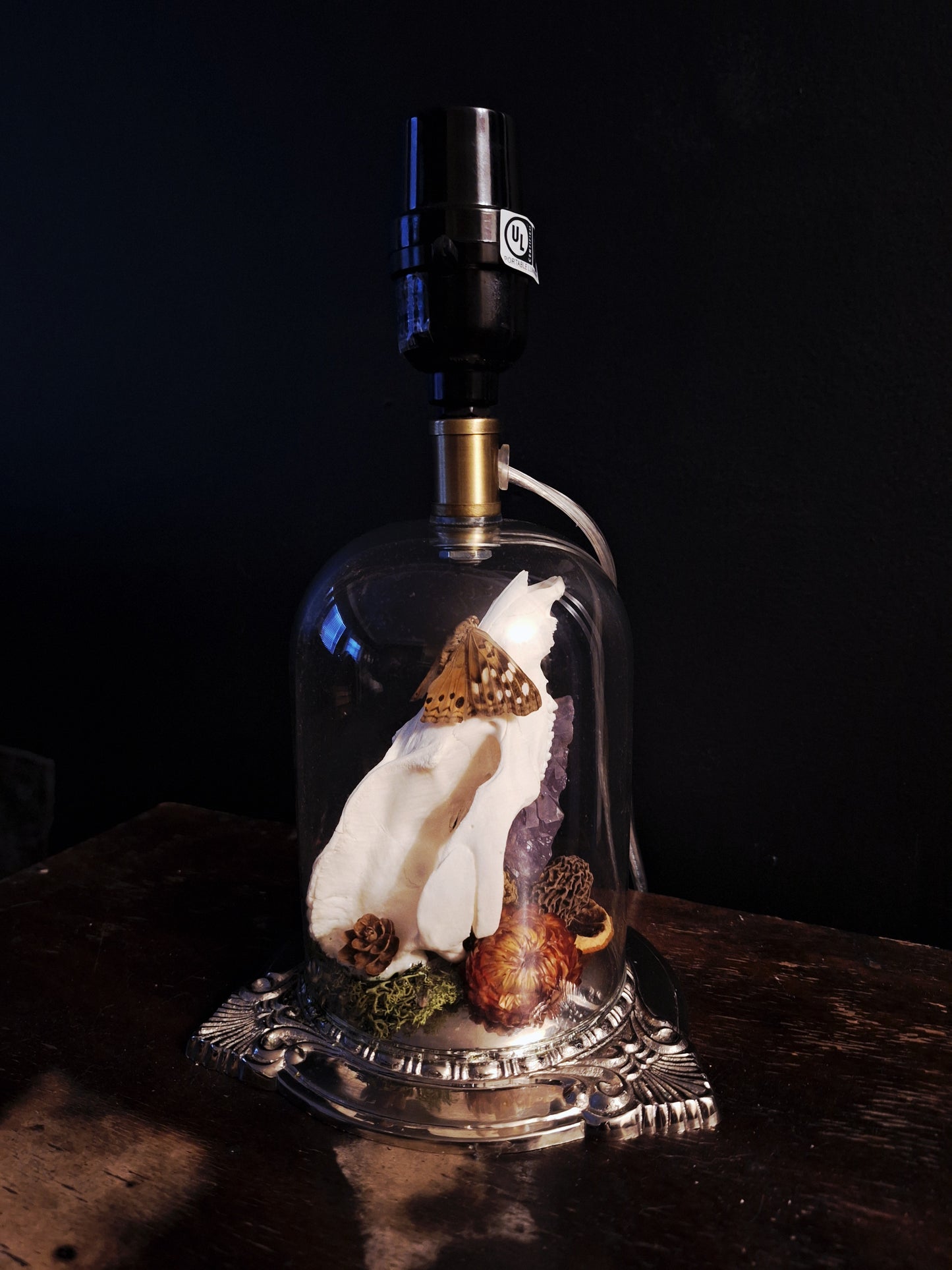 Audrey Oddities Lamp