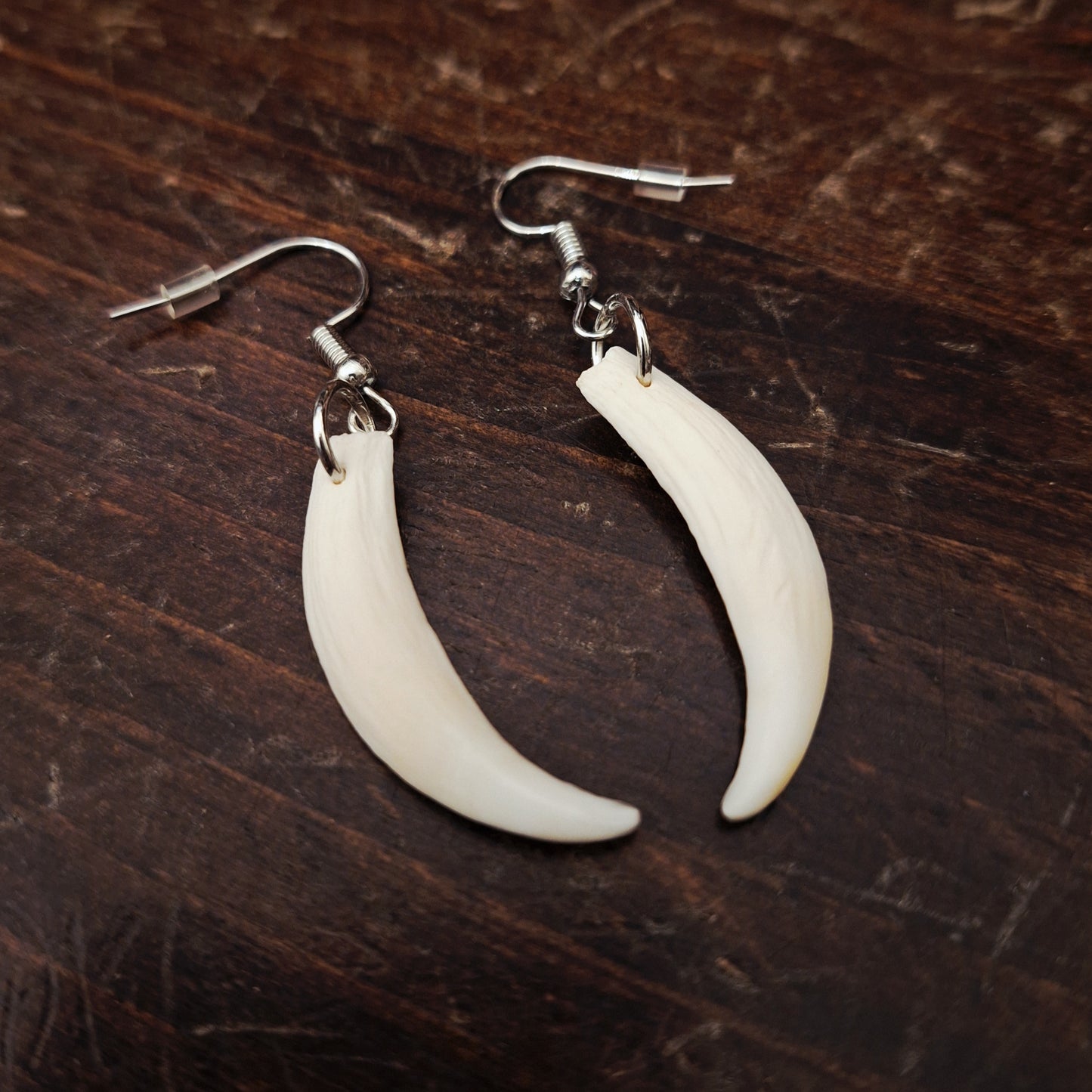 Possum Teeth Earrings