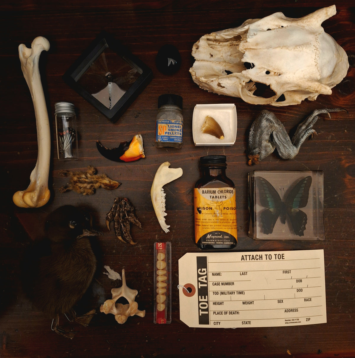 Oddities Mystery Box