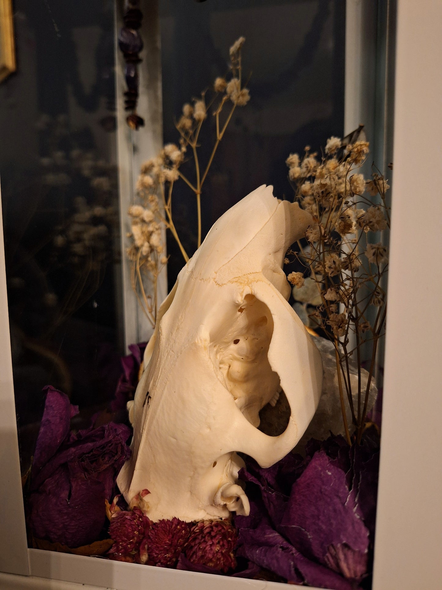 Delia Oddities Lantern