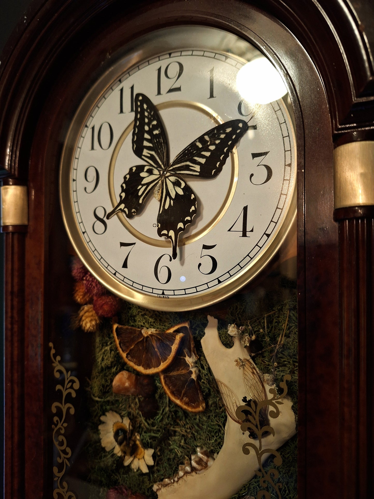 Lucian Oddities Clock