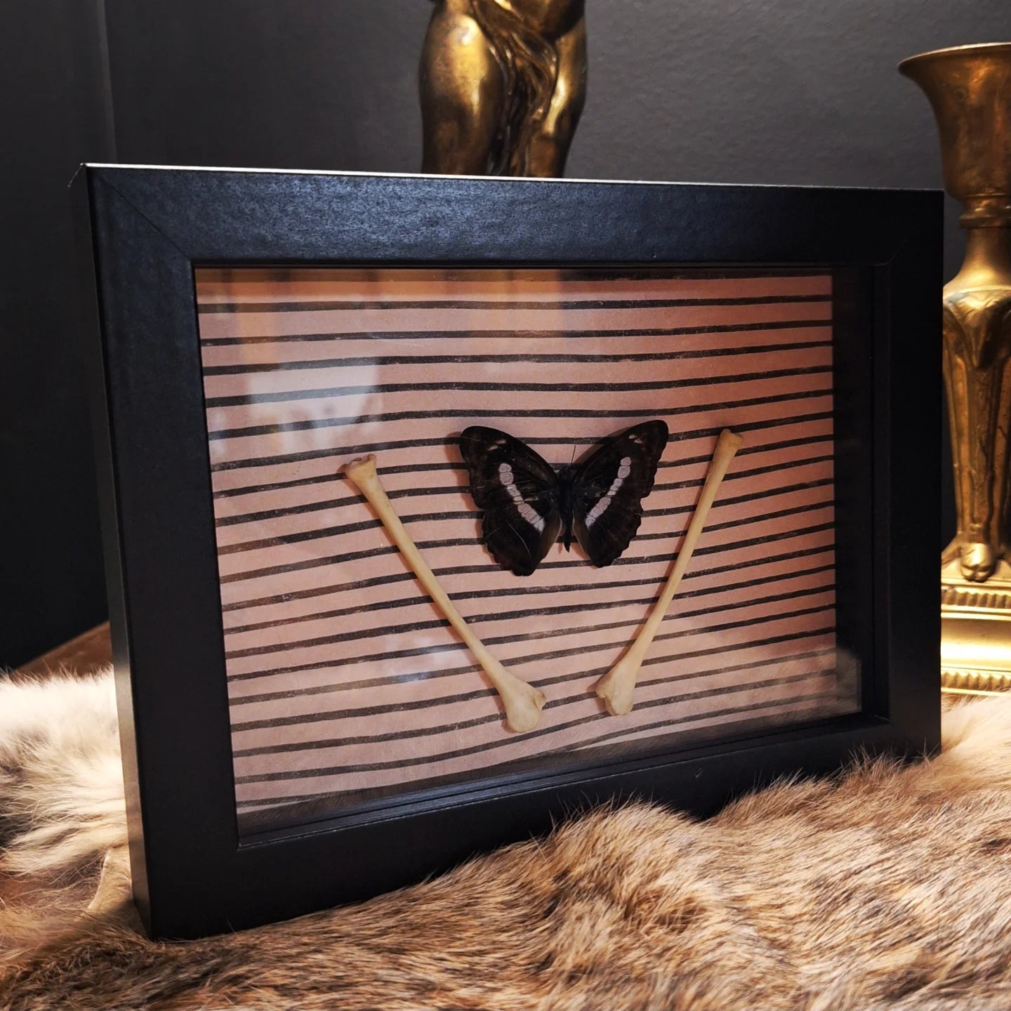 Staff Seargent Butterfly Frame