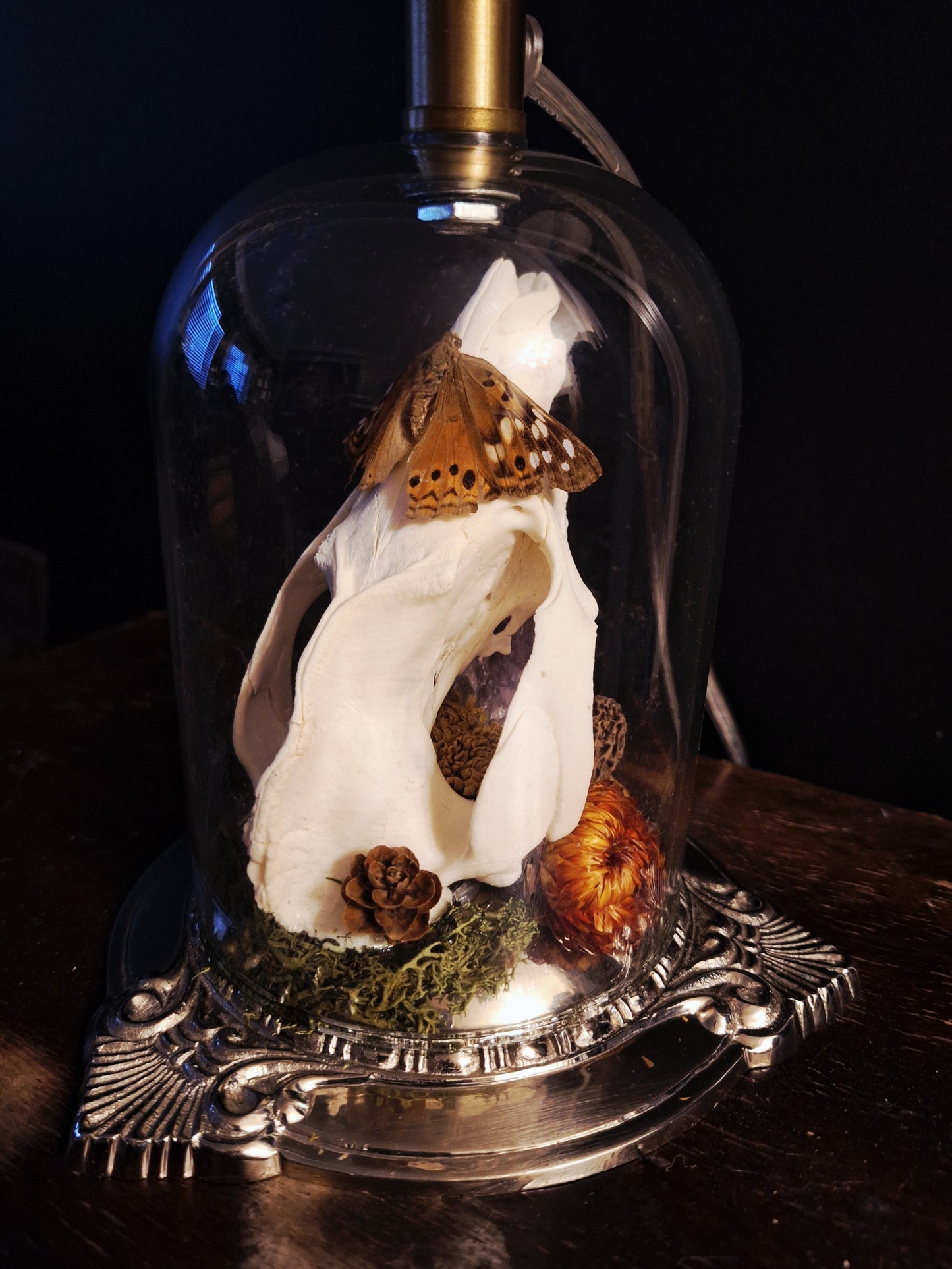 Audrey Oddities Lamp